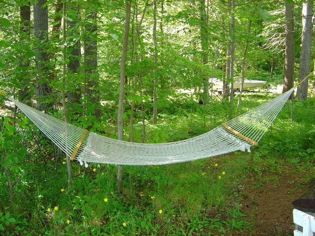 Hammock