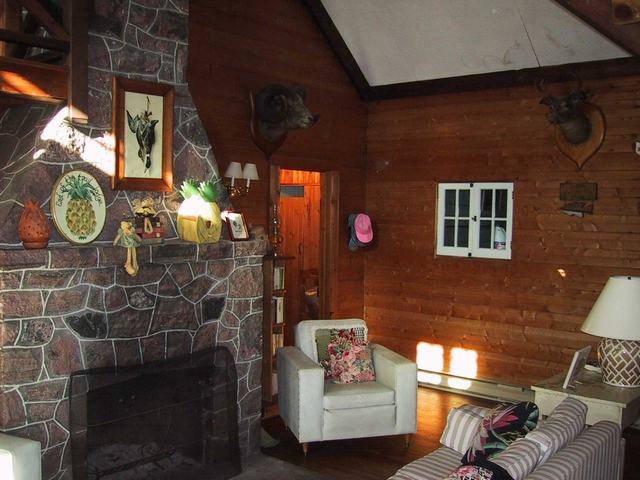 Livingroom Fireplace